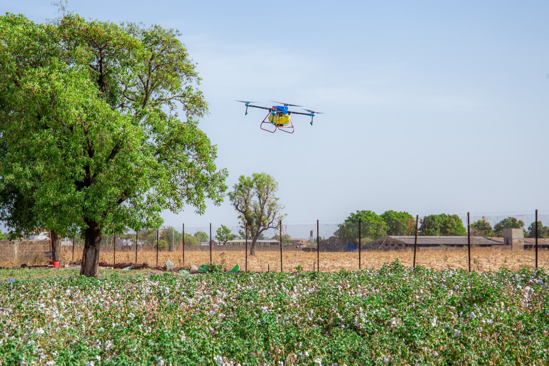 Drone agricole en vol au-dessus d'une parcelle DIAZON