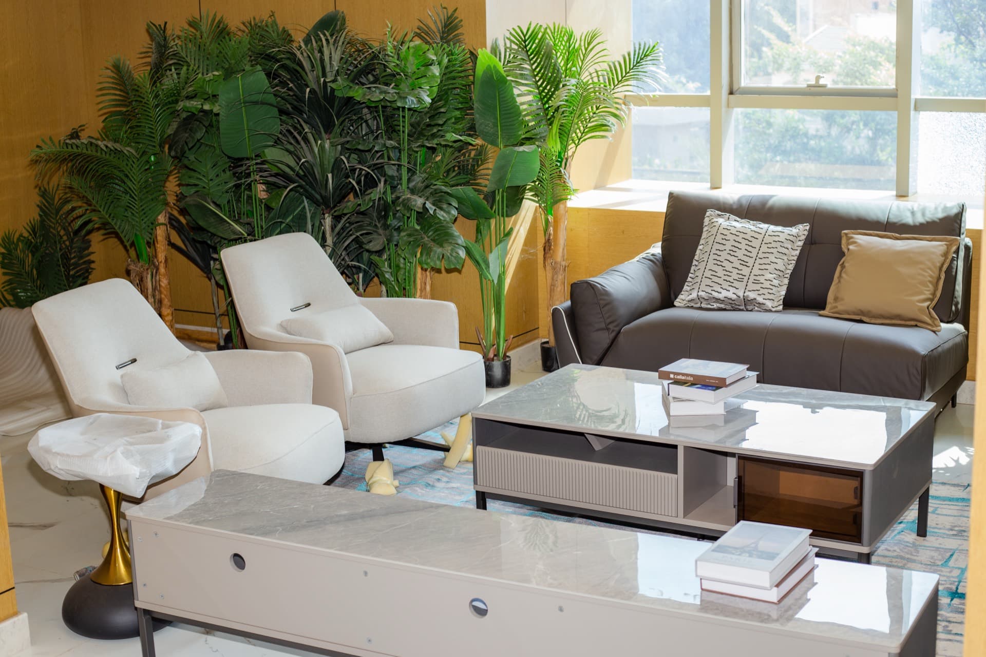 Fauteuils lounge, plantes et mobilier de séjour